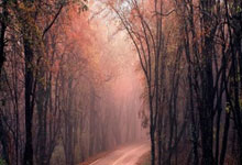 [图]中超-韦世豪破门阿代米建功 津门虎2-1成都蓉城.