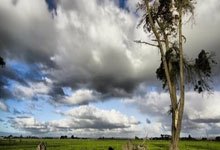 雷速体育：詹姆斯空砍26+7+11错失绝平三分 主场惜败黄蜂.